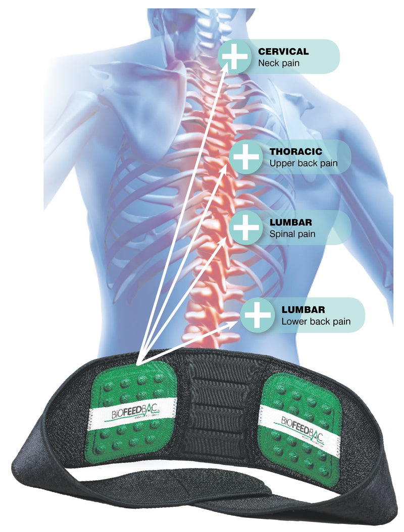 Biofeedbac lumbros belt spinal pain 