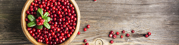 Vytaliving Articles - Everything you need to know about cranberry
