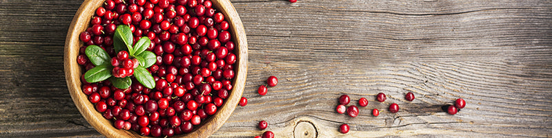 The Benefits of Cranberry - Dietary Supplement with Cranberry Extract