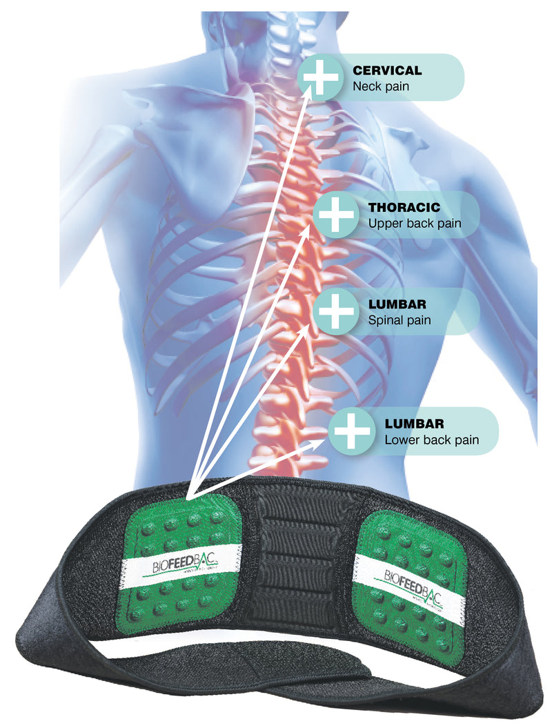 Biofeedbac lumbros belt spinal pain 