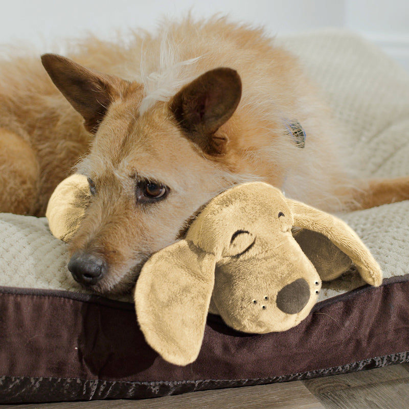 Huggie Pup Pet Buddy